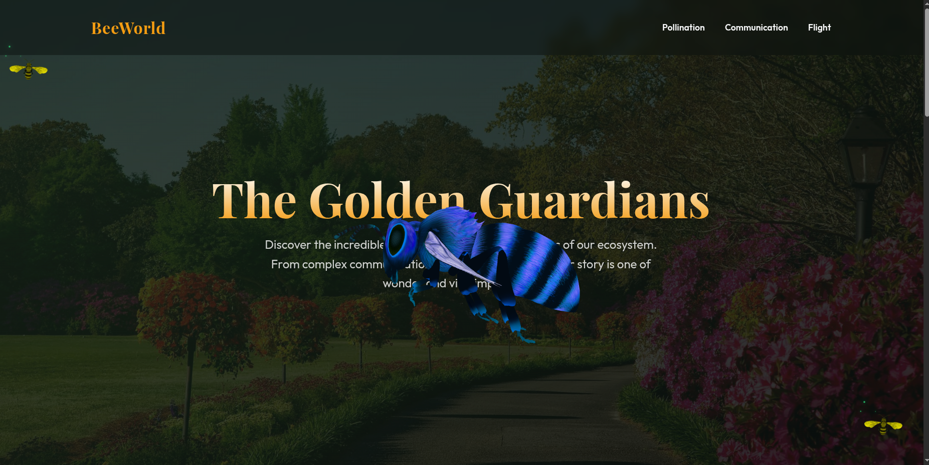 3D Interactive Experience