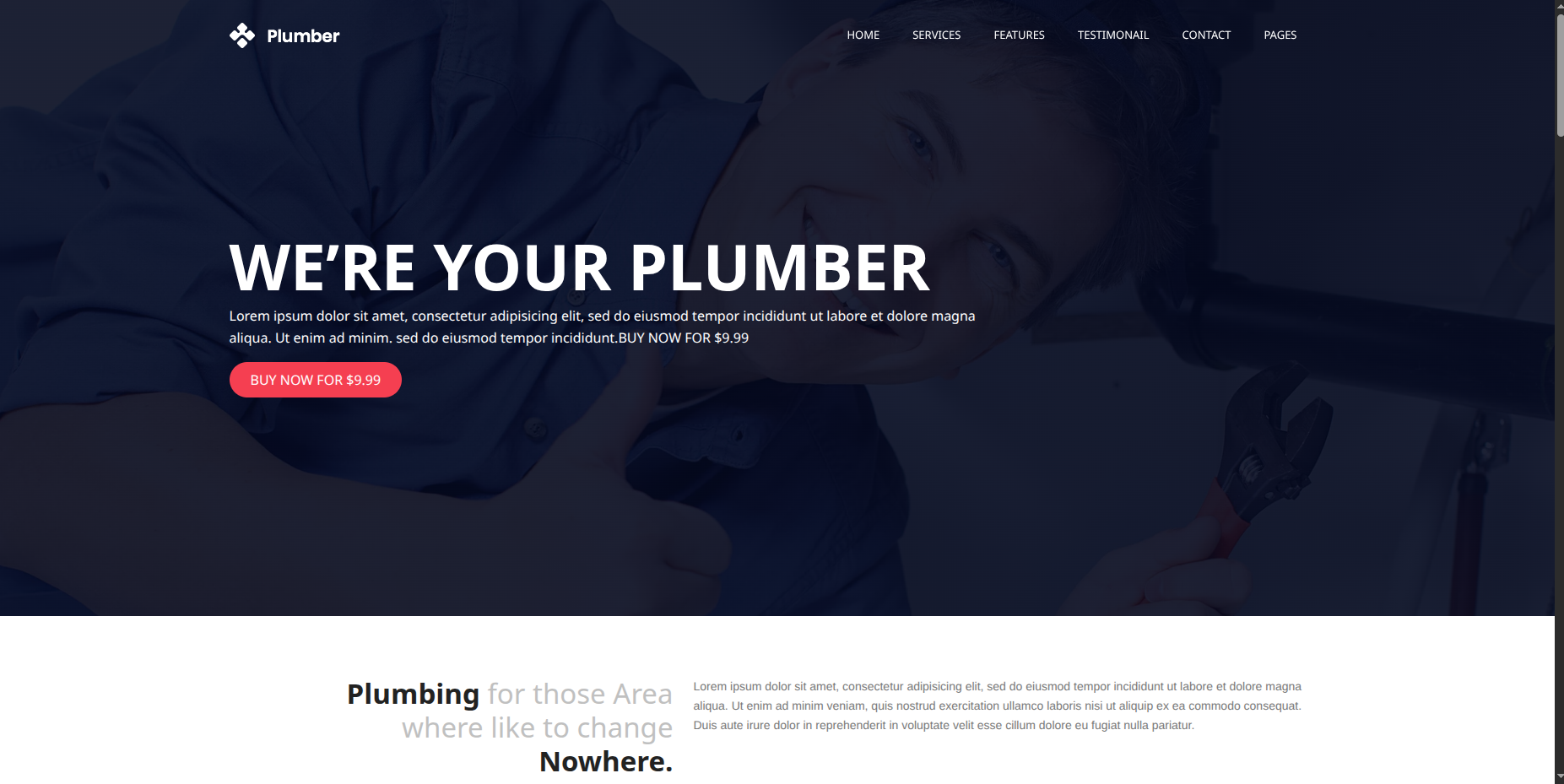 Plumbing Services Portfolio